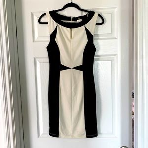 Flattering Form Fitting Sleeveless Dress